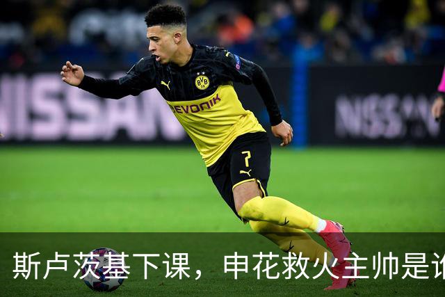 斯卢茨基下课，申花救火主帅是谁？球迷：直接报吴金贵身份证号码
