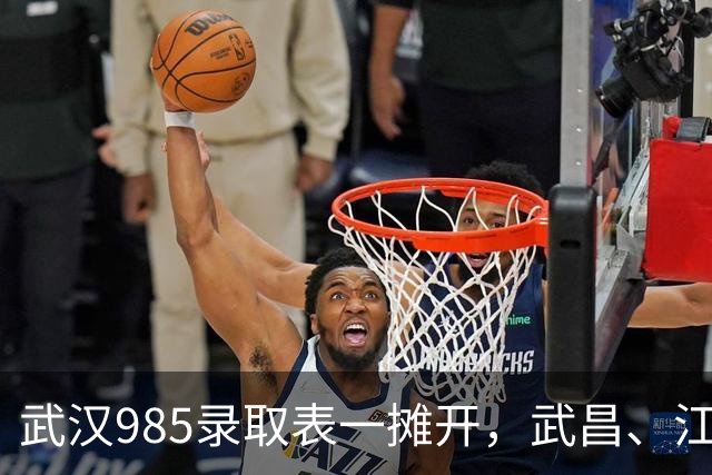 武汉985录取表一摊开，武昌、江岸、江汉和远城区的差距有多硬，数据全写在里面