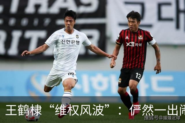 王鹤棣“维权风波”：俨然一出闹剧，谁说是英雄谁说是反派？
